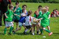 Monaghan Rugby Summer Camp 2015 (33 of 75)